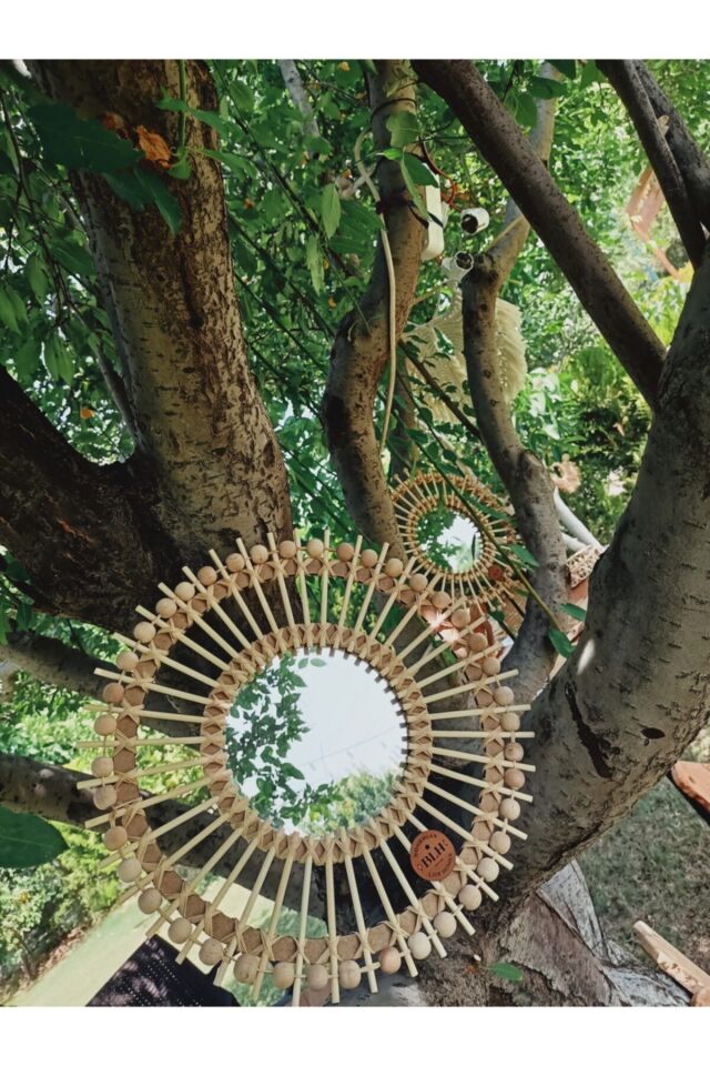 Bambu Ayna